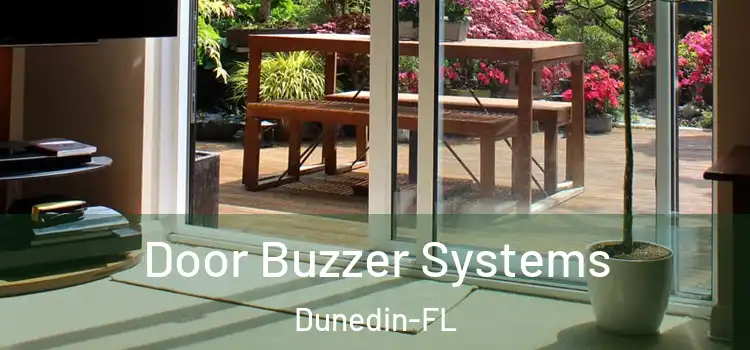  Door Buzzer Systems Dunedin-FL