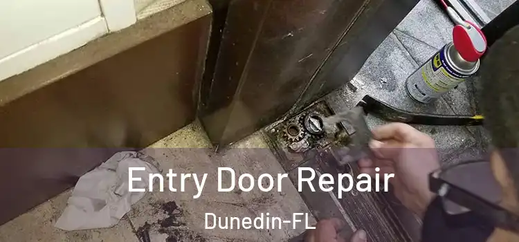  Entry Door Repair Dunedin-FL