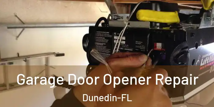 Garage Door Opener Repair Dunedin-FL