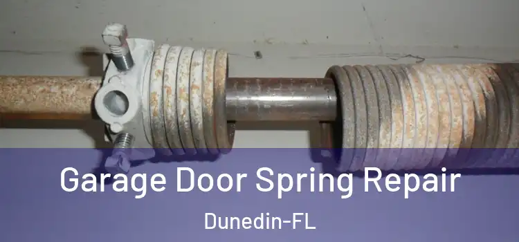  Garage Door Spring Repair Dunedin-FL