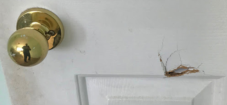interior door hole repair Dunedin