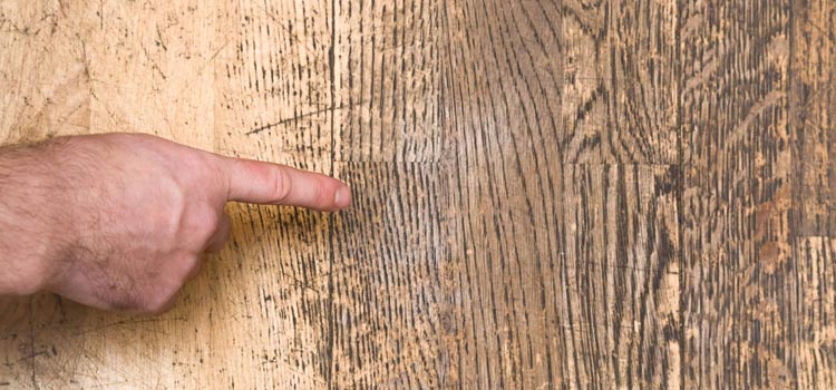 Wood Door Scratch Repair in Dunedin