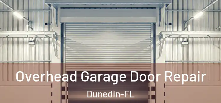  Overhead Garage Door Repair Dunedin-FL