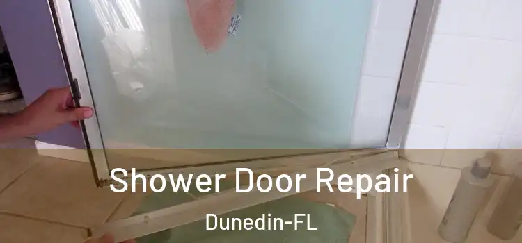  Shower Door Repair Dunedin-FL